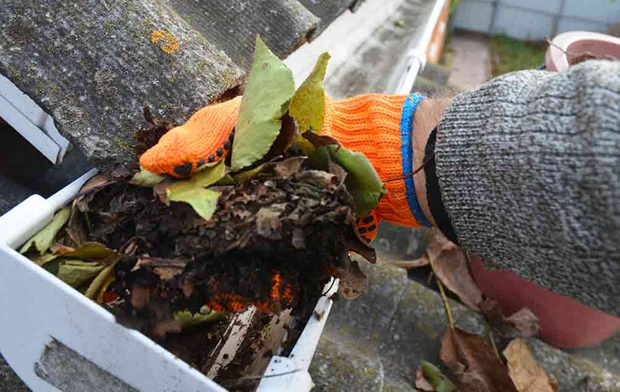 Gutter Cleaning