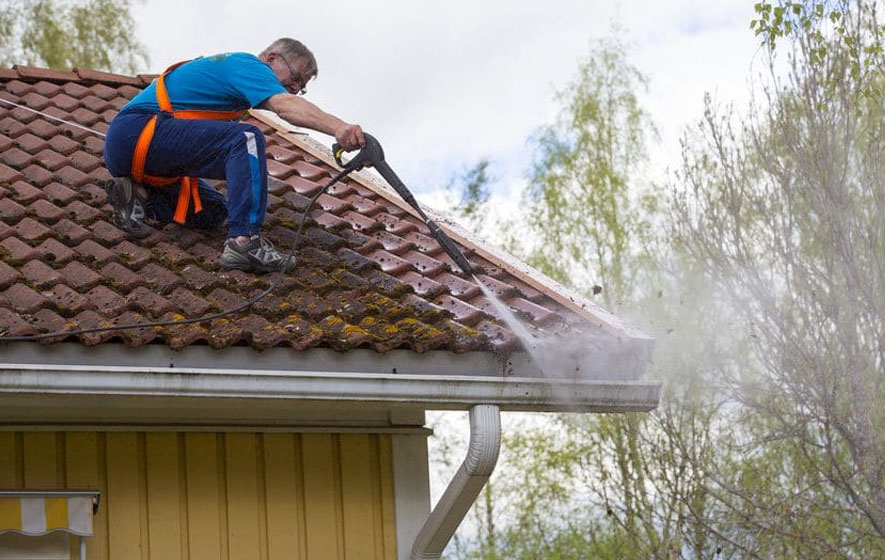 Roof Cleaning